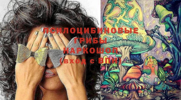 герыч Абаза