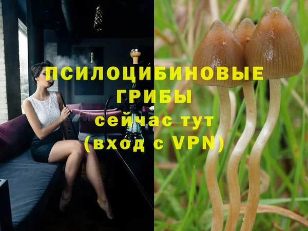 MDMA Premium VHQ Надым