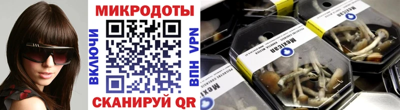 дарнет шоп  Нолинск  Псилоцибиновые грибы MAGIC MUSHROOMS 